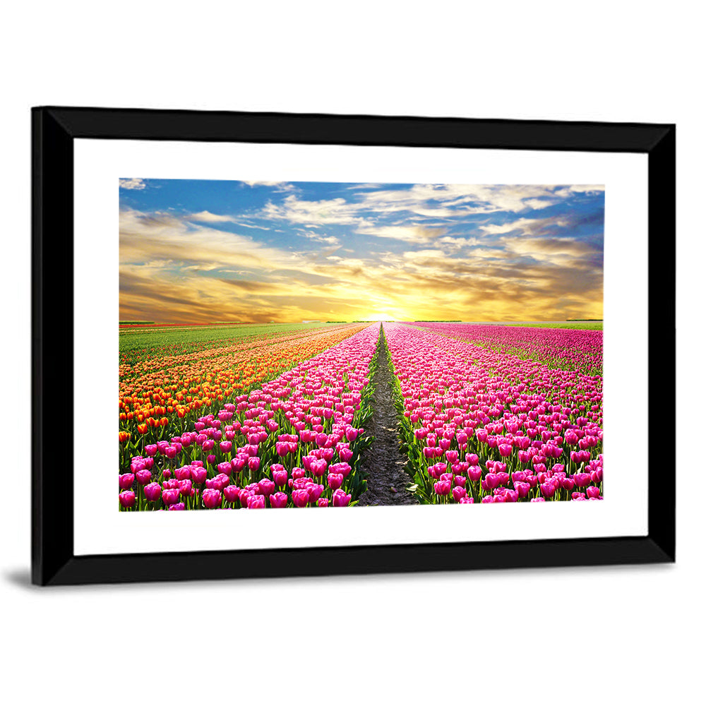 Sunrise Over Tulip Field Wall Art