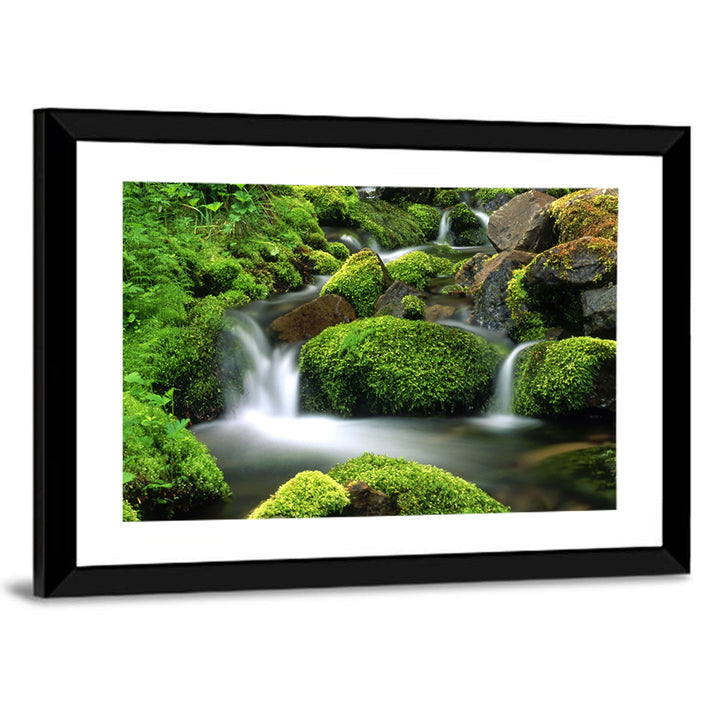 Mossy Mountain Stream Wall Art