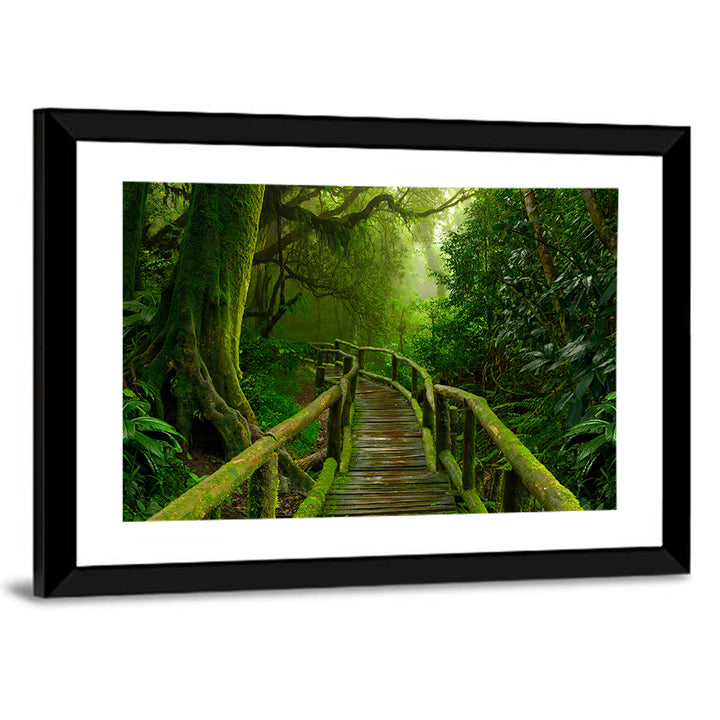 Misty Nepal Jungle Boardwalk Wall Art