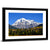 Mount Robson In British Columbia Canada Wall Art