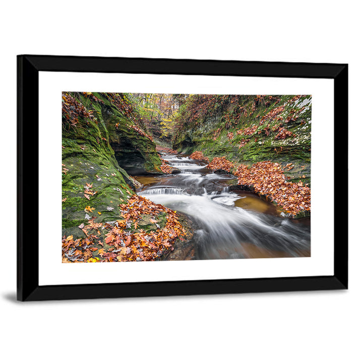 Warren County Autumn Cascades Wall Art