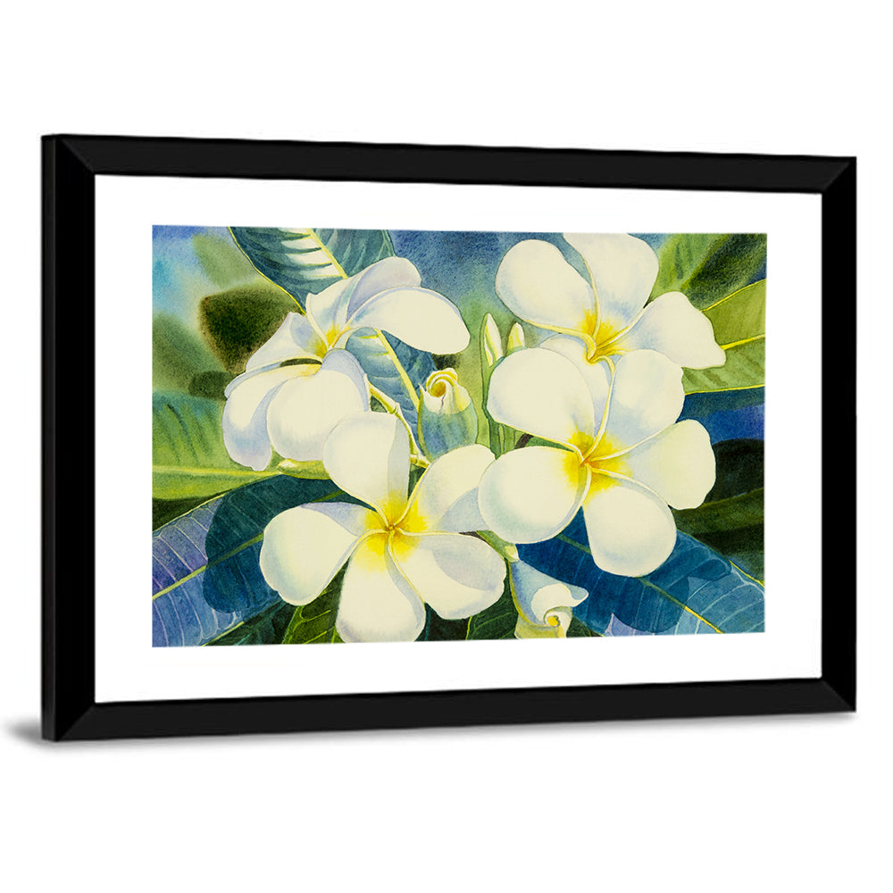 White Plumeria Watercolor Study Wall Art