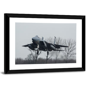 USAF F-15 Eagle Jet Wall Art