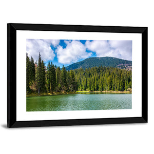 Mountain Lake Synevir Wall Art