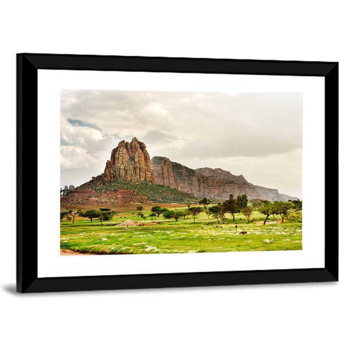 Tigray Mountain Meadow Wall Art as a framed print
