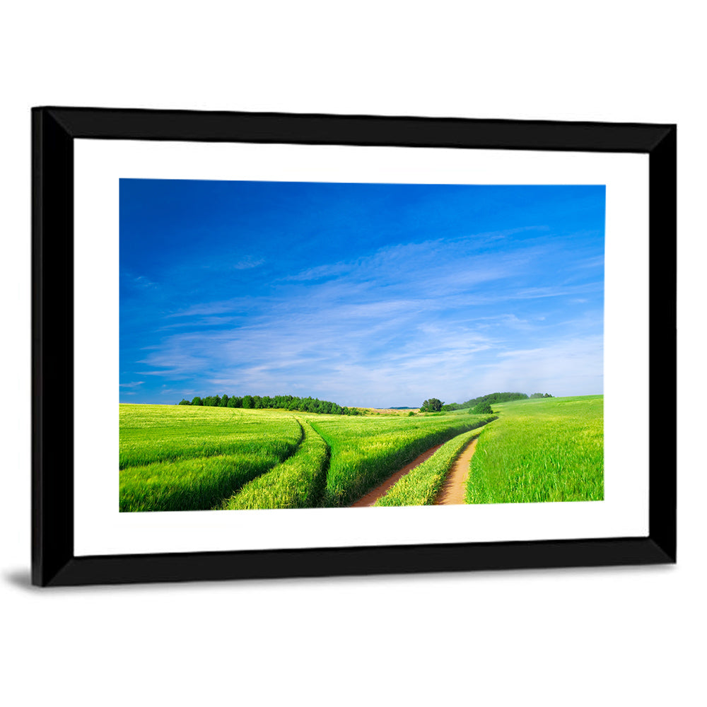 Summer Meadow with Dirt Path Wall Art