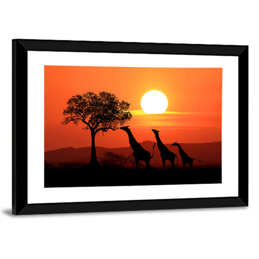 Giraffes At Sunset Wall Art