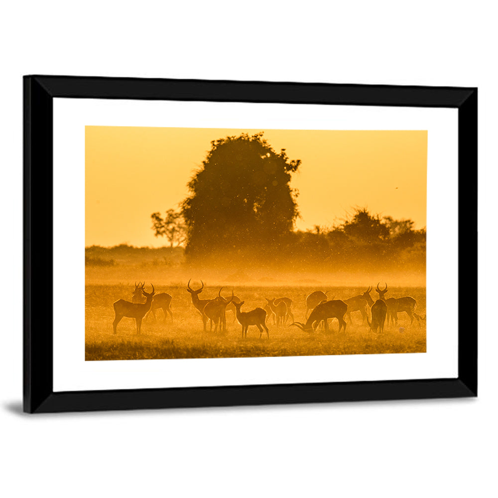 Antelope Herd at Golden Hour Wall Art