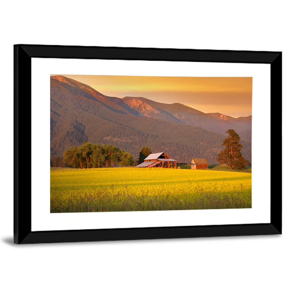 Rapeseed Field and Barn at Golden Hour Wall Art