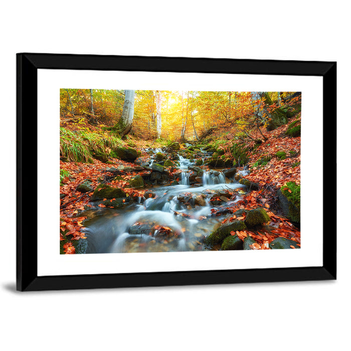 Backlit Autumn Forest Stream Wall Art as a framed print