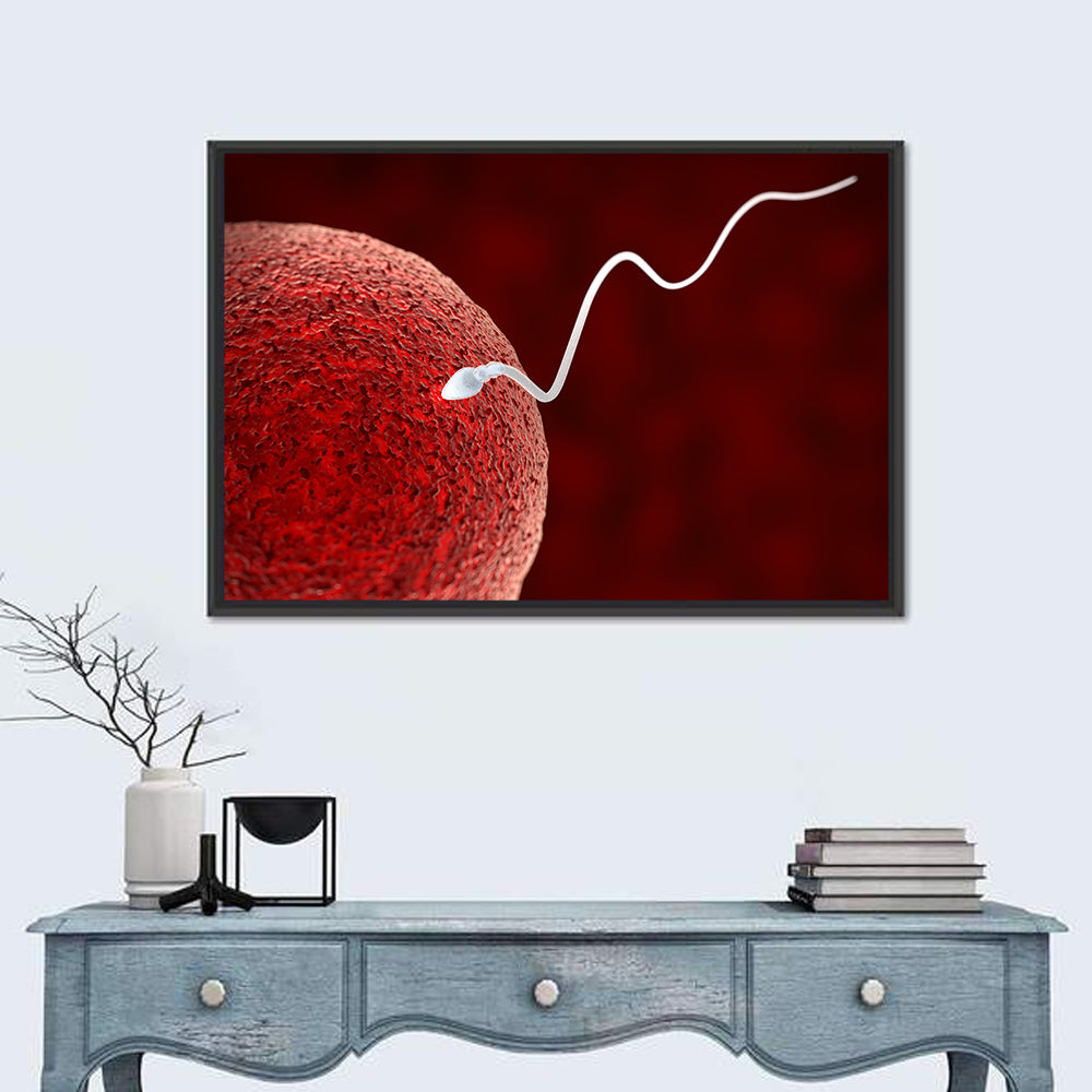 Sperm Approaching Ovum Wall Art in a room, landscape