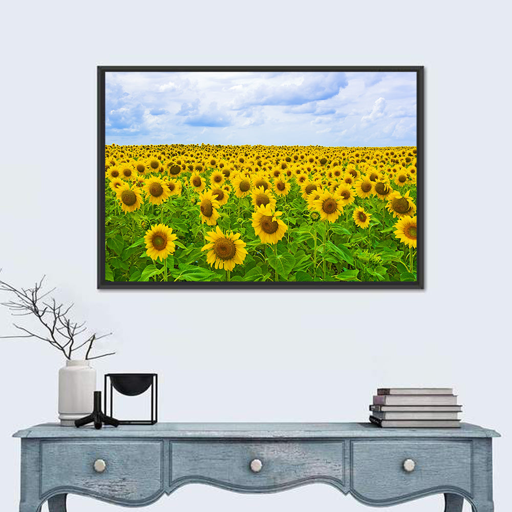 Sunflower Field Under Blue Sky Wall Art in a room, landscape