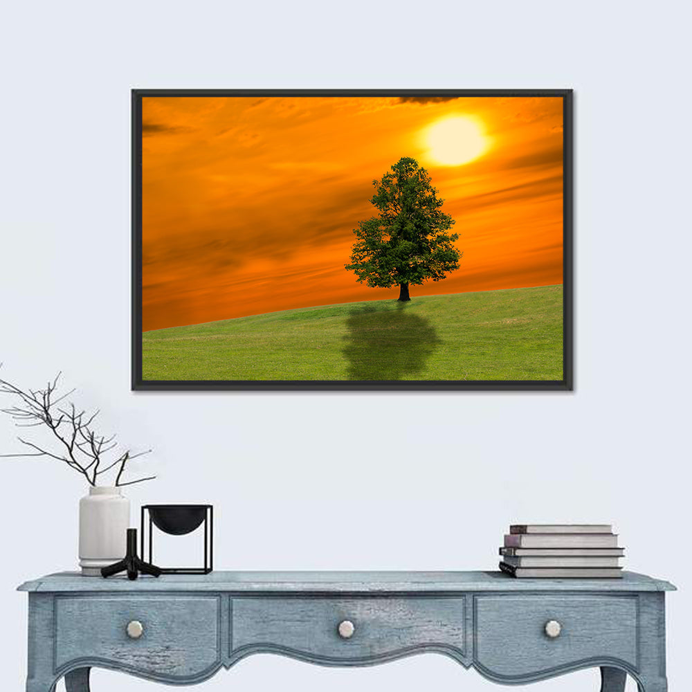 Lonely Tree on Green Hill at Sunset Wall Art