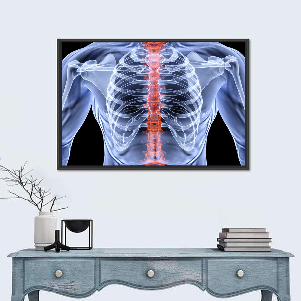 Male Spine X-ray Illustration Wall Art