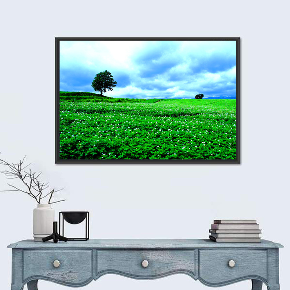 Biei Hill with Lone Tree, Hokkaido Wall Art