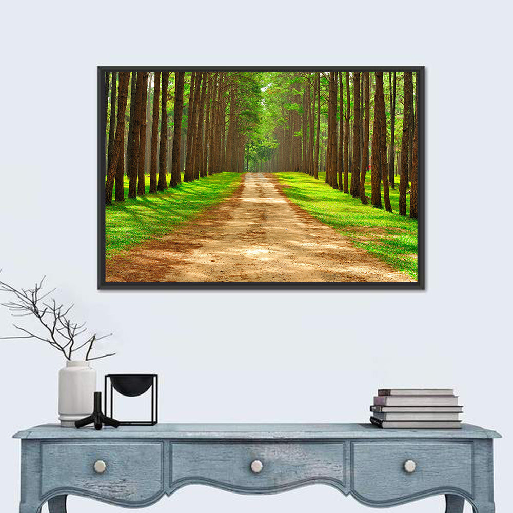 Thailand Pine Forest Path Wall Art in a room, landscape
