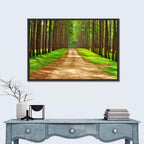 Thailand Pine Forest Path Wall Art