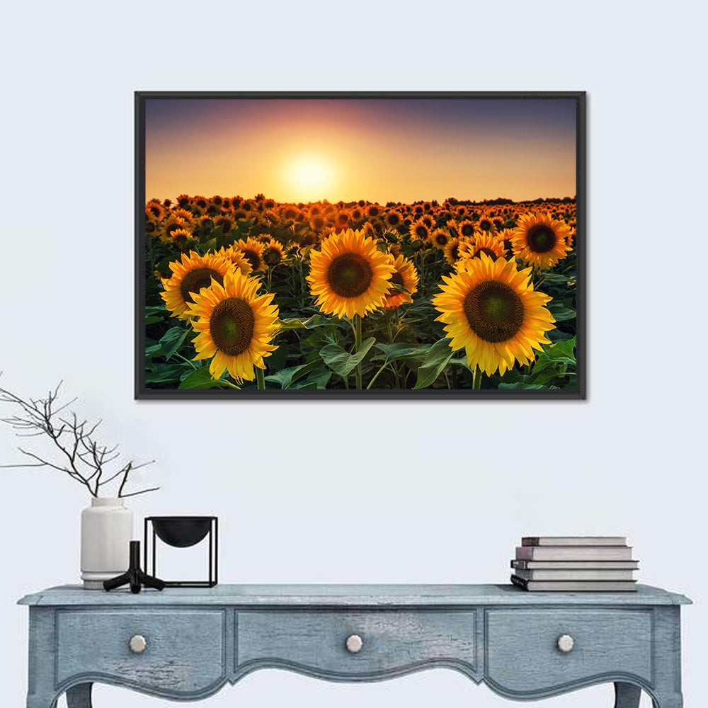 Sunflower Field at Sunset Wall Art in a room, landscape