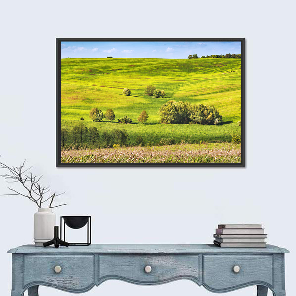 Rolling Hills of Ukraine Wall Art in a room, landscape