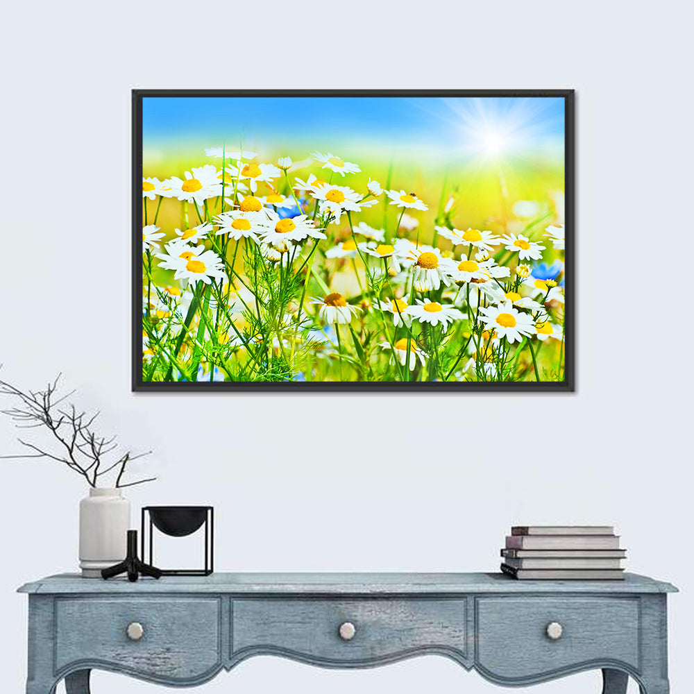 Sunlit Daisy Field Wall Art in a room, landscape