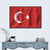 Turkish National Flag Wall Art