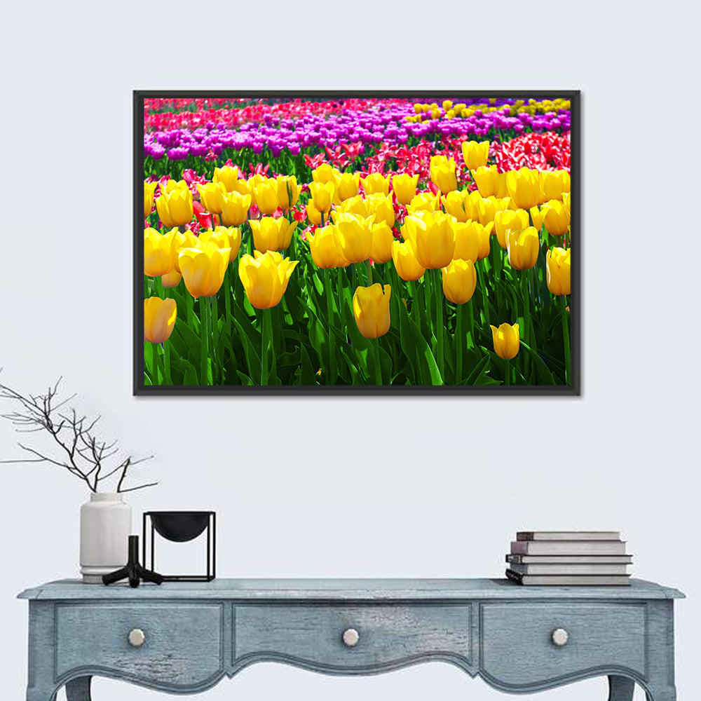 Yellow Tulips in Bloom Wall Art in a room, landscape