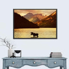Waterton Lakes Moose at Golden Dusk Wall Art