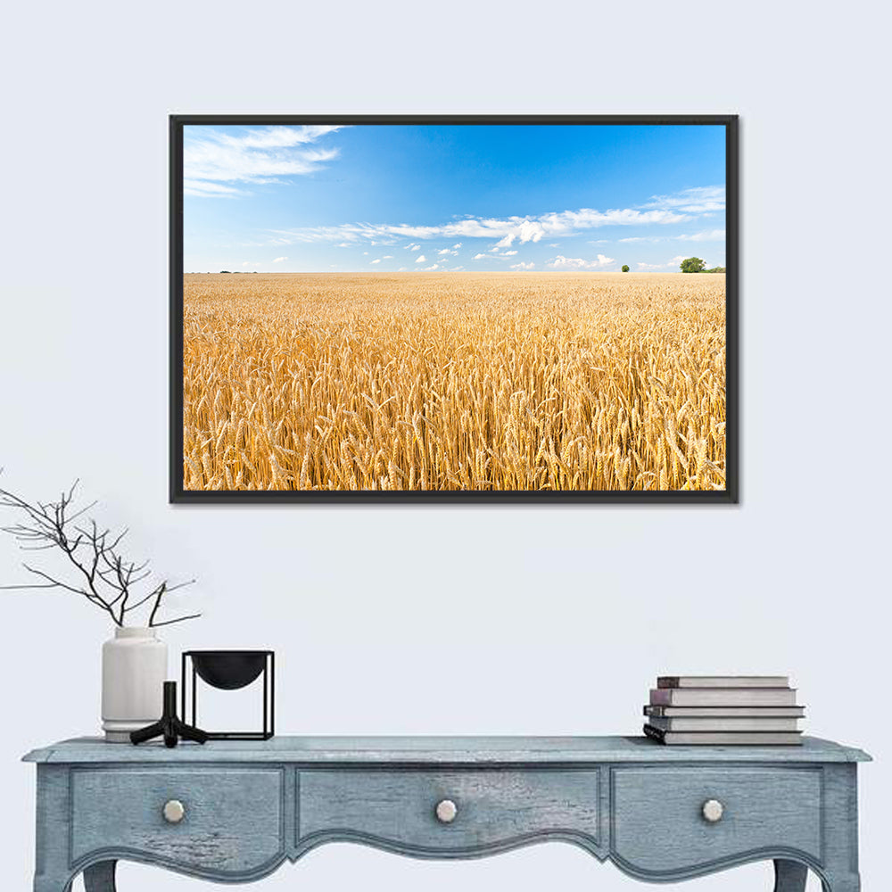Golden Wheat Field with Blue Sky Wall Art
