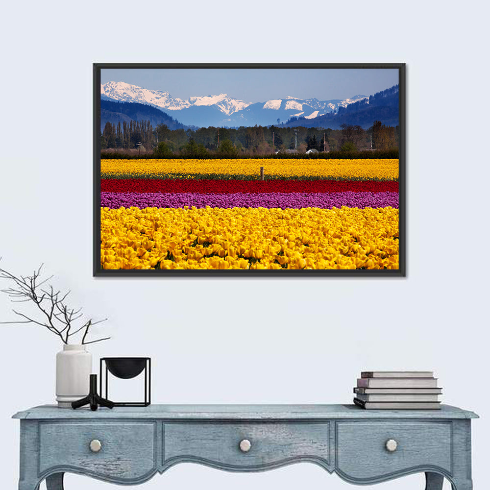 Skagit Valley Spring Daffodils Wall Art in a room, landscape