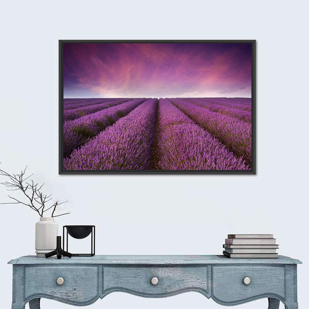 Lavender Field Sunset Wall Art