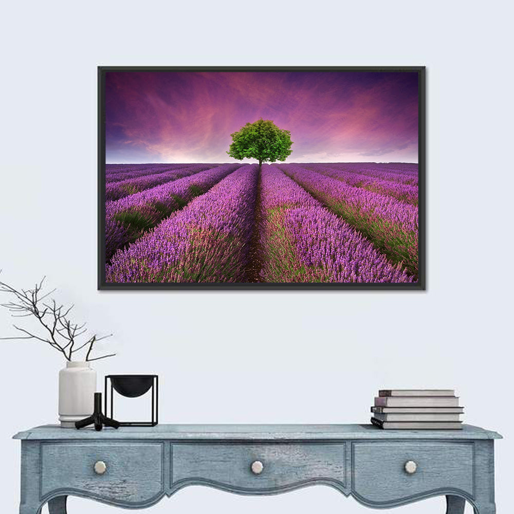 Lavender Field at Sunset Wall Art