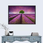Lavender Field at Sunset Wall Art