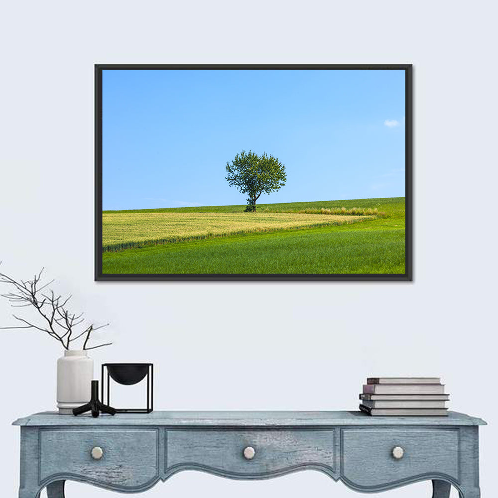 Solitary Tree on Rolling Meadow Wall Art