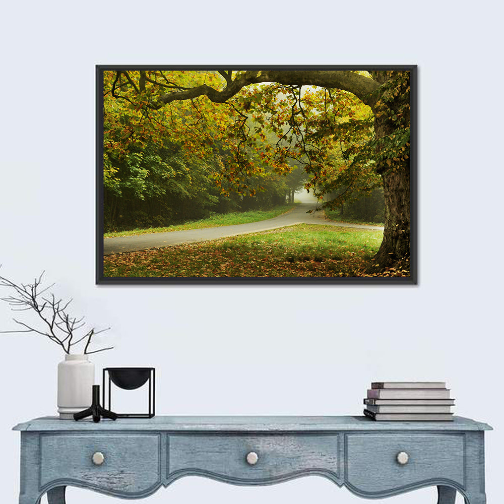 Foggy Autumn Forest Path Wall Art in a room, landscape