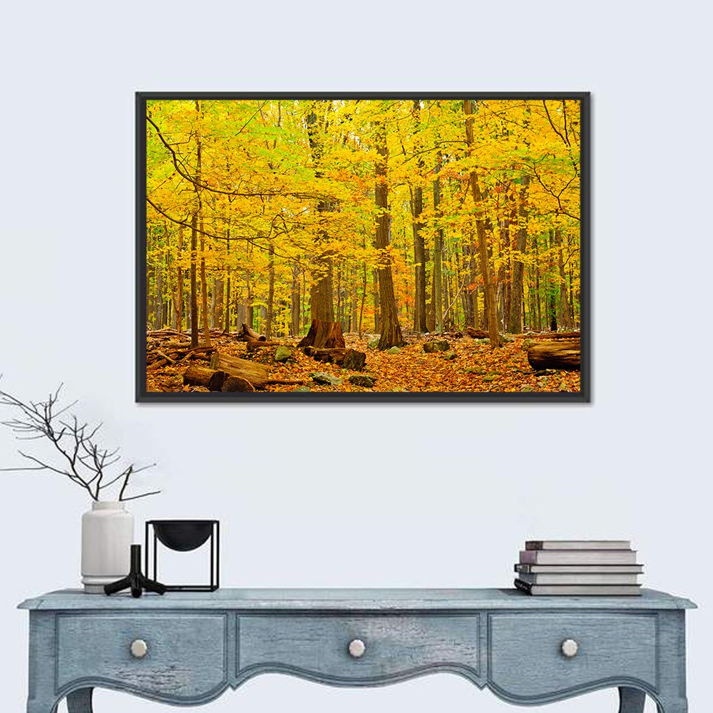 Catoctin Autumn Forest Wall Art in a room, landscape