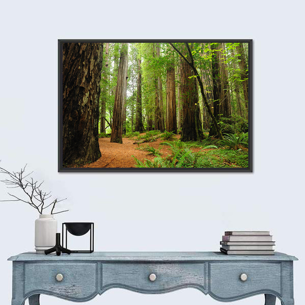 Towering Redwood Canopy Wall Art in a room, landscape