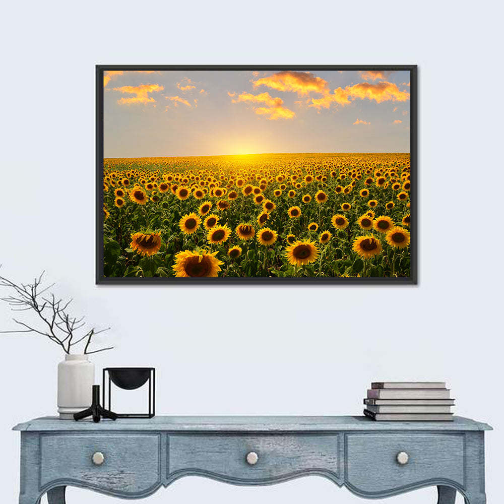 Sunflower Field at Sunset Wall Art