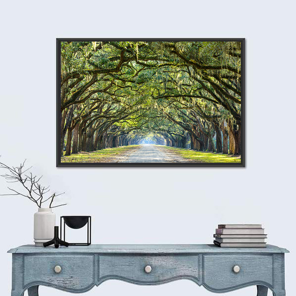 Spanish Moss Oak Alley Wall Art