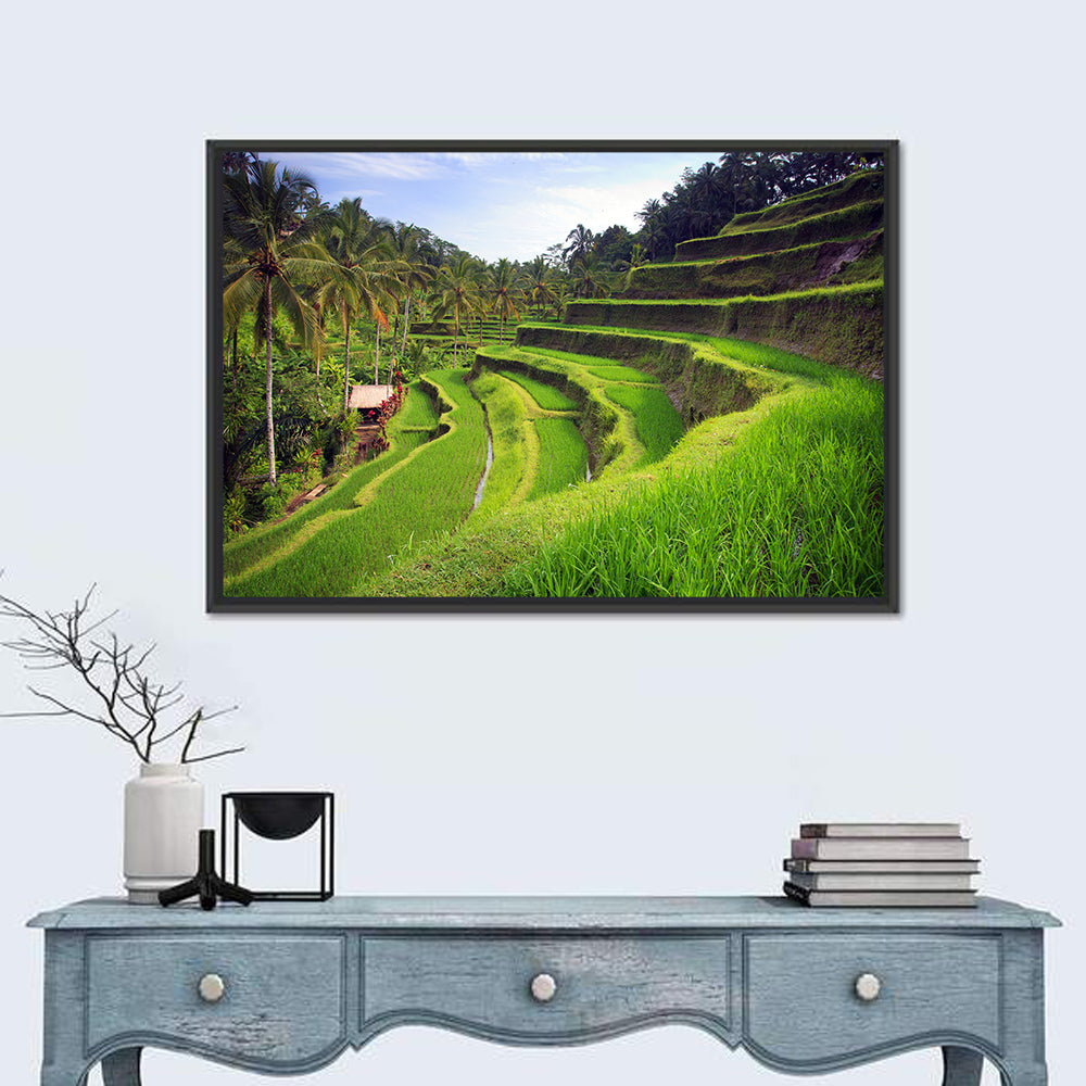 Tegallalang Rice Terraces Wall Art in a room, landscape