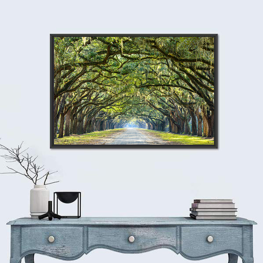 Historic Wormsloe Plantation In Savannah Wall Art