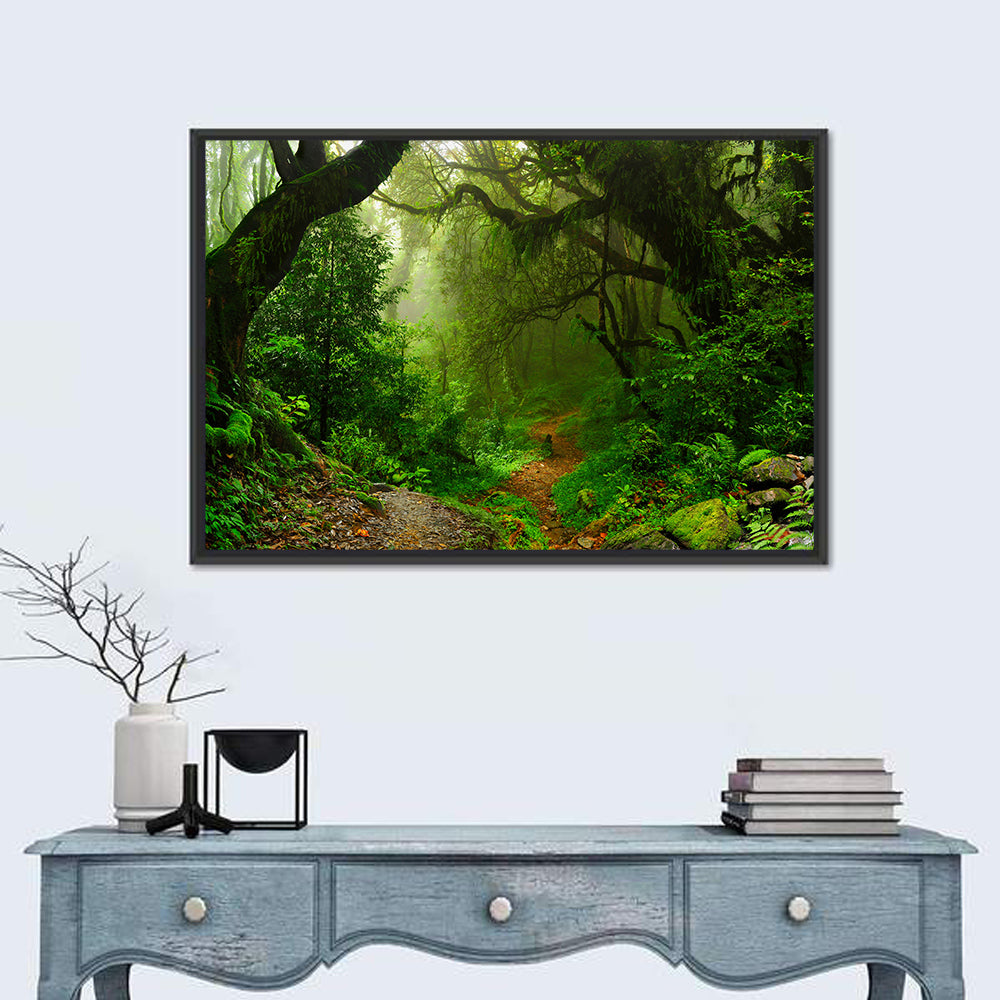 Misty Forest Trail in Nepal Wall Art