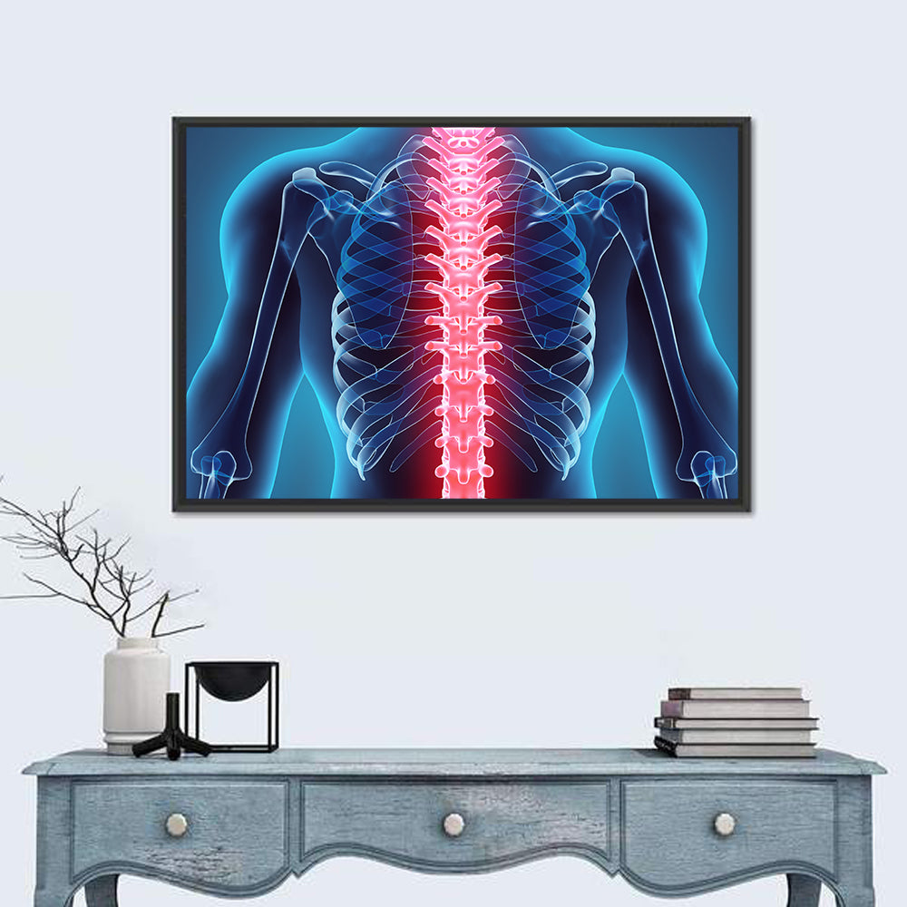 Human Spine Anatomy Illustration Wall Art in a room, landscape
