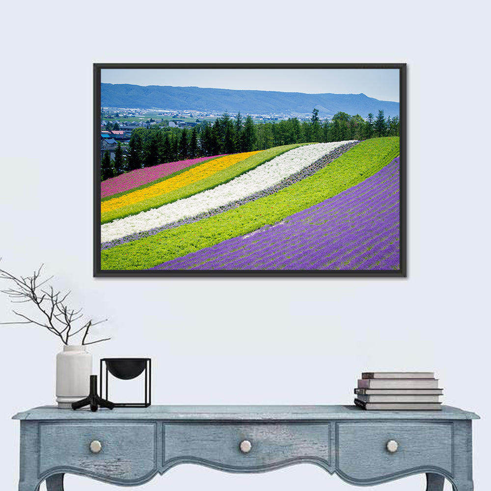Farm Tomita Lavender Fields Wall Art in a room, landscape