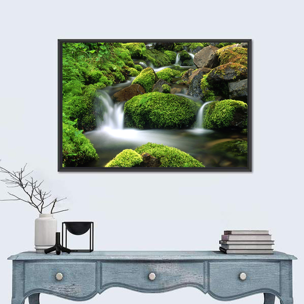 Mossy Mountain Stream Wall Art in a room, landscape