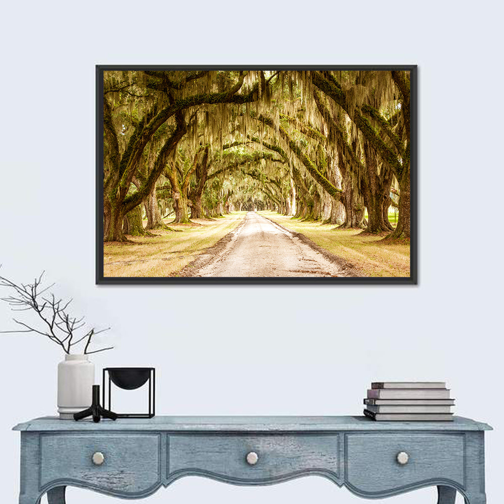 Oak Pathway Under Spanish Moss Wall Art in a room, landscape