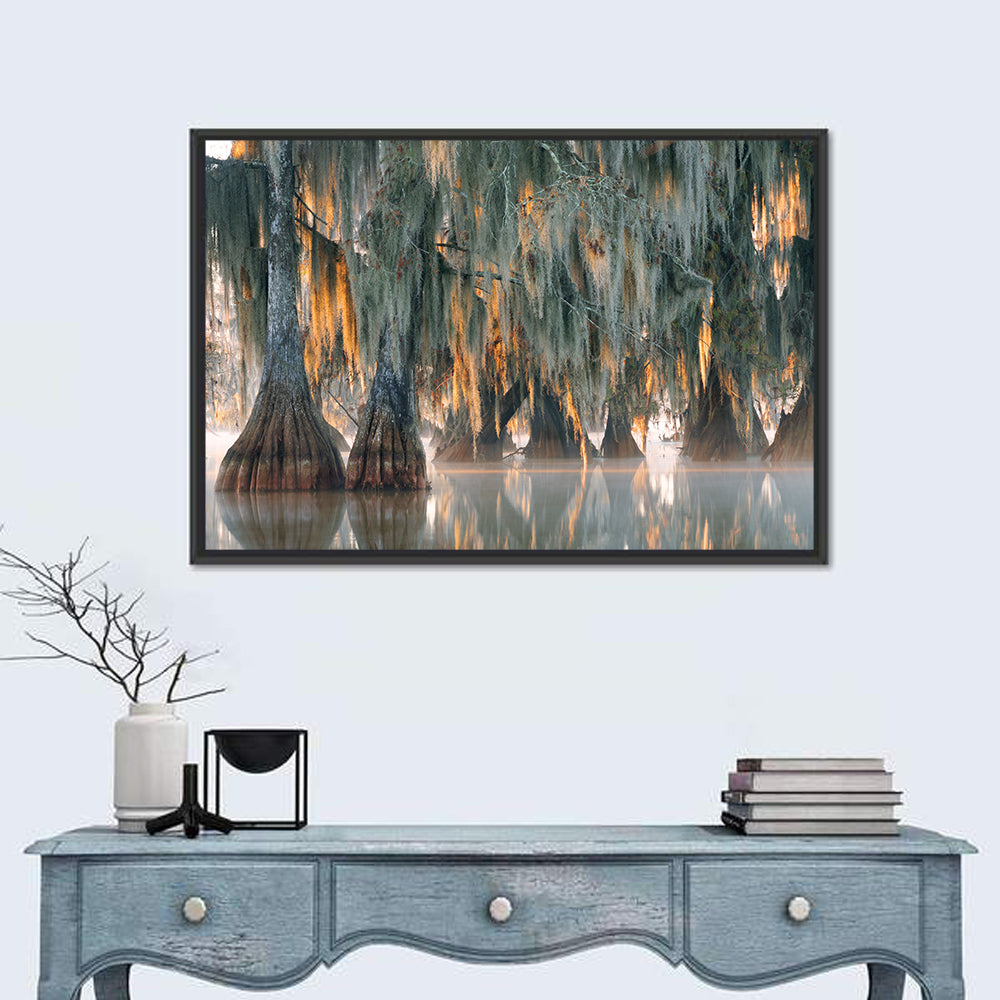 Bald Cypress Trees with Spanish Moss Wall Art in a room, landscape