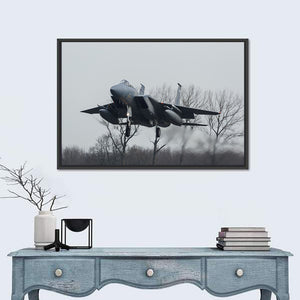 USAF F-15 Eagle Jet Wall Art