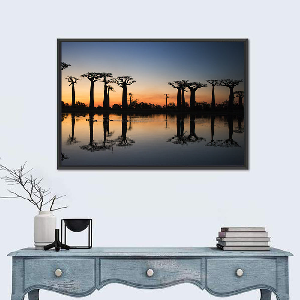 Avenue of the Baobabs at Sunrise Wall Art