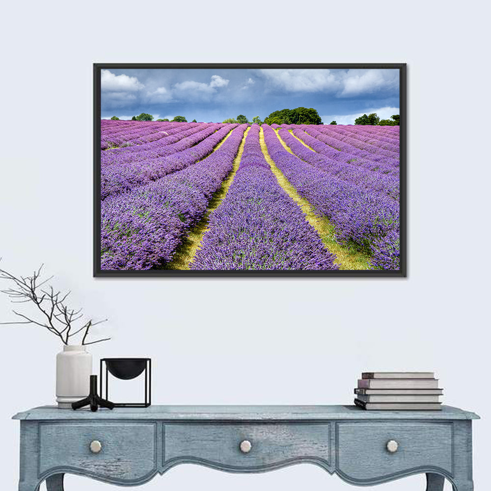 Banstead Lavender Field Wall Art in a room, landscape
