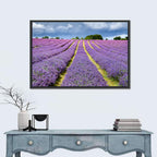 Banstead Lavender Field Wall Art